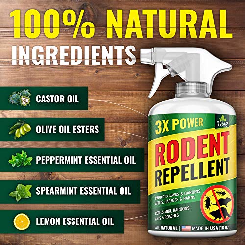 Rodent Reppellant 16 OZ - 3X POWER - Pest Repeller made in USA - Premium Rodent & Bug Guard - Raccoon, Mouse, Ant, Roach & Rat Repellant - Natural Rodent Repeller - Indoor & Outdoor Repellant Barrier - Thumbnail 4