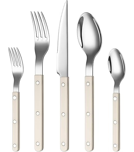 Amazon.com | Sabre Natura 20-Piece Service for 4 Natural