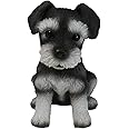 Ebros Realistic Miniature Schnauzer Puppy Statue 5.75" Tall Animal Dog Collectible Lifelike Schnauzer Figurine Decor