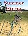 Summer Storm: Regimental Wargame Scenarios For the Battle of Gettysburg by Brad Butkovich