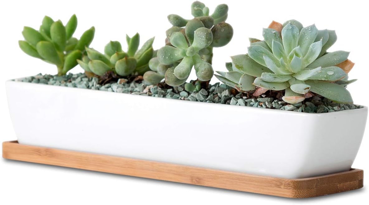 11.1 inch Long Rectangle White Ceramic Succulent Planter Pots/Mini