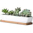 11inch Long Rectangle White Ceramic Succulent Planter Pots/Mini Flower Plant Containers with Bamboo Saucers. Product Size:11x
