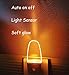 REMINDA 4 Pack Plug in LED Night Light Lamp with Dusk to Dawn Sensor, Amber Yellow