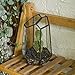 NCYP Small Geometric Terrarium - 4.1