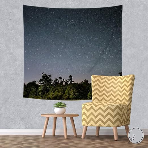 Sillones colgantes para jardin | Sillones