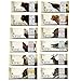 Epic - Epic Bars Variety Pack, 12 Flavors (12 Pack)