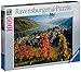 Ravensburger On The River Rhine 1000 Piece Jigsaw Puzzle for Adults – Every Piece is Unique, Softclick Technology Means Pieces Fit Together Perfectly