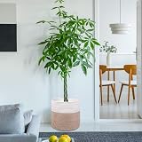 tenn well 30cm Indoor Plant Pot Basket with Liner Cotton Woven White Khaki view 6