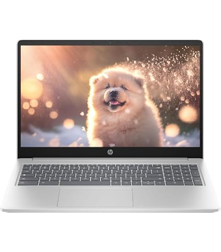 Amazon.com: HP Chromebook 15.6 Inch Laptop for College Students