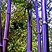Black Purple Bamboo Seeds, 50Pcs Giant Phyllostachys Moso-Bamboo Seeds Timber Plant