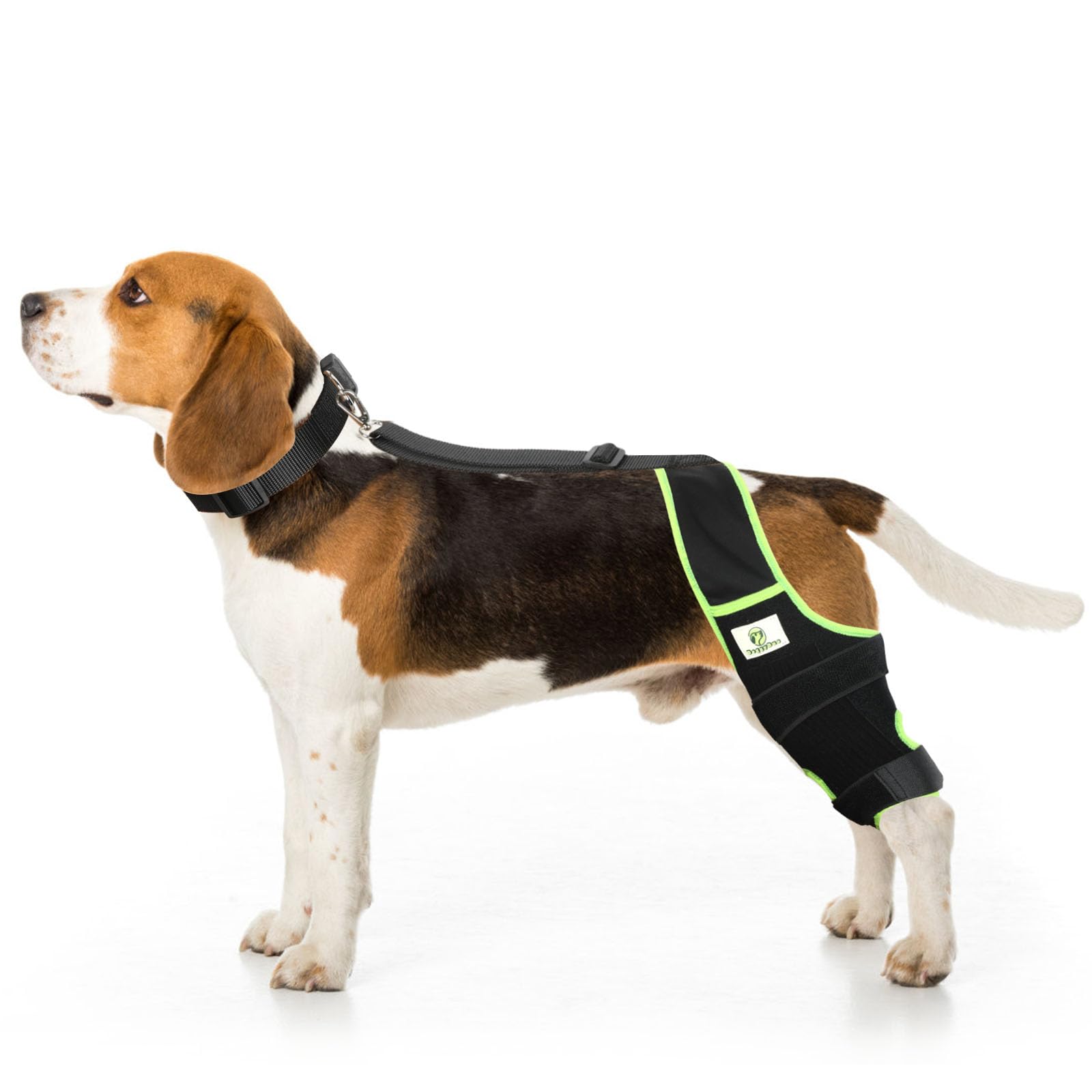 Photo 1 of Dog Knee Brace for Hind Legs with Extra Collar & Strap - Relieves Joint Pain & Discomfort, Enhances Mobility | Supports Recovery from Osteoarthritis, Torn ACL/CCL, Luxating Patella | Adjustable (S)