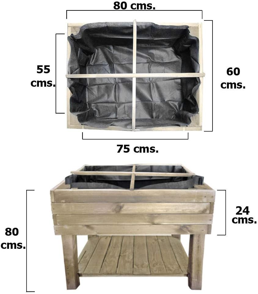 Papillon 8093100 Huerto Urbano 60x80x80cm, 80x60x26 cm: Amazon.es ...