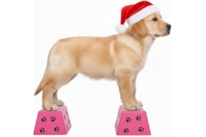 Professional Dog Stacking Blocks for Large Breed Training – 4-Pack with Non-Slip Treads, Portable Conformation Training Tool 