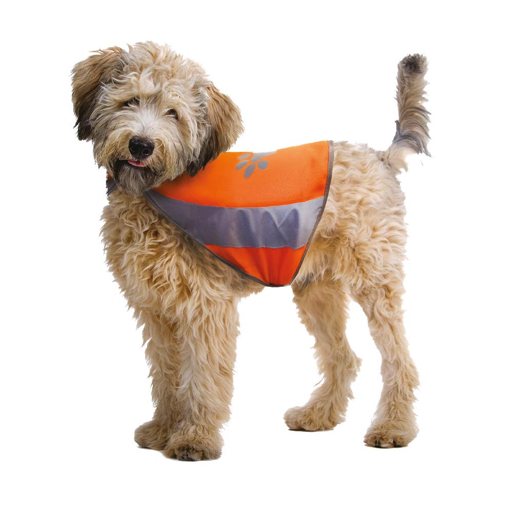 CROCI High Visibility Jacket, X-Large