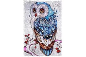 ROCKY&CHAO Latch Hook Kits for Kids and Adults, DIY Latch Hook Rug Kit, Cross Stitch Rug Making Kit, Carpet Making Crochet Kits Embroidery Kits Needlework Crafts for Home Decor, 60X42CM, Elegant Owl
