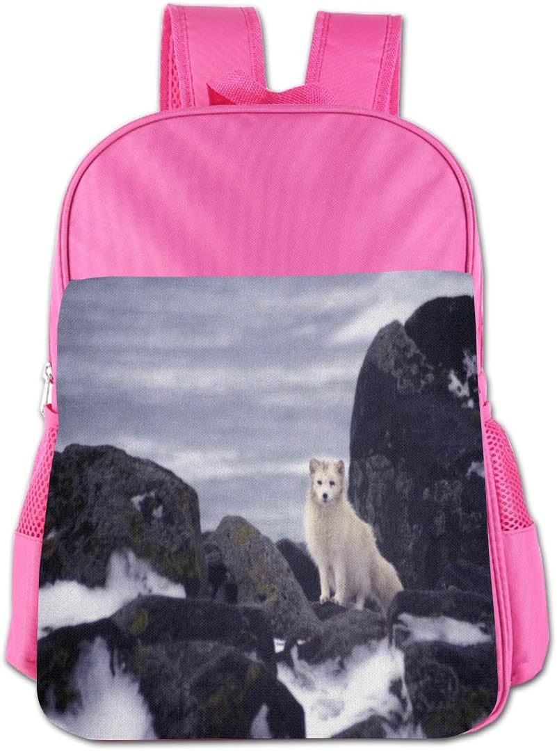 arctic fox school bags