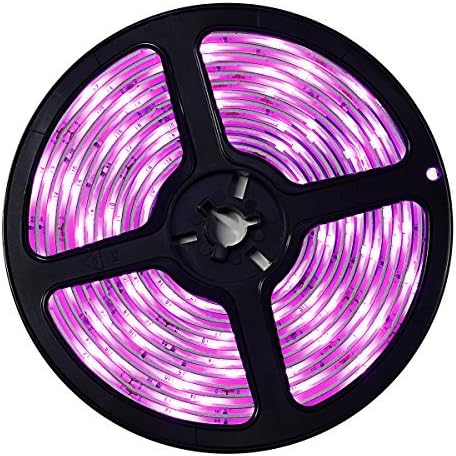 Wigbow Pink LED Strip Light Lit,Waterproof 16.4ft 5M 150 LEDs Pink Rope Lights,Indoor Outdoor Lighting Rope Dimmable with Remote,for Bedroom Bar Car Interior TV Backdrop Wall