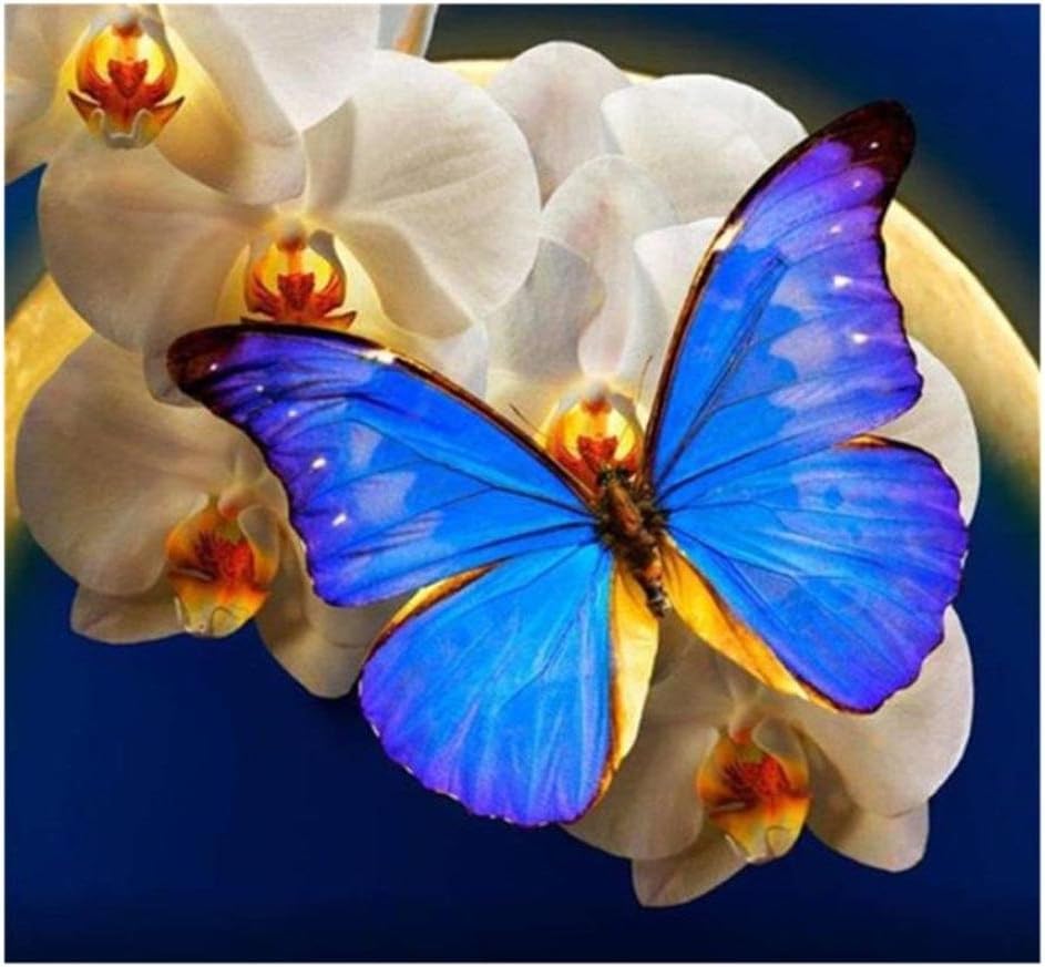 Yeefant - Pintura de Mariposa Azul Claro con Bordado Floral, no se