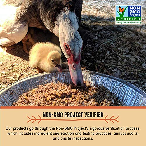 3 Scratch+Peck+Feeds+Naturally+Chickens