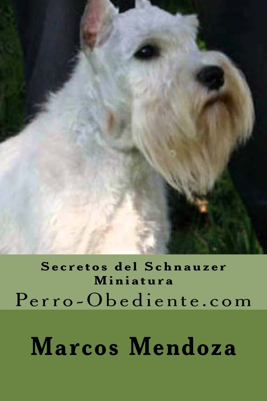 miniatura schnauzer
