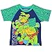 TMNT Teenage Mutant Ninja Turtles Boys Short Sleeve Tee (4T, Blue/Green TMNT)