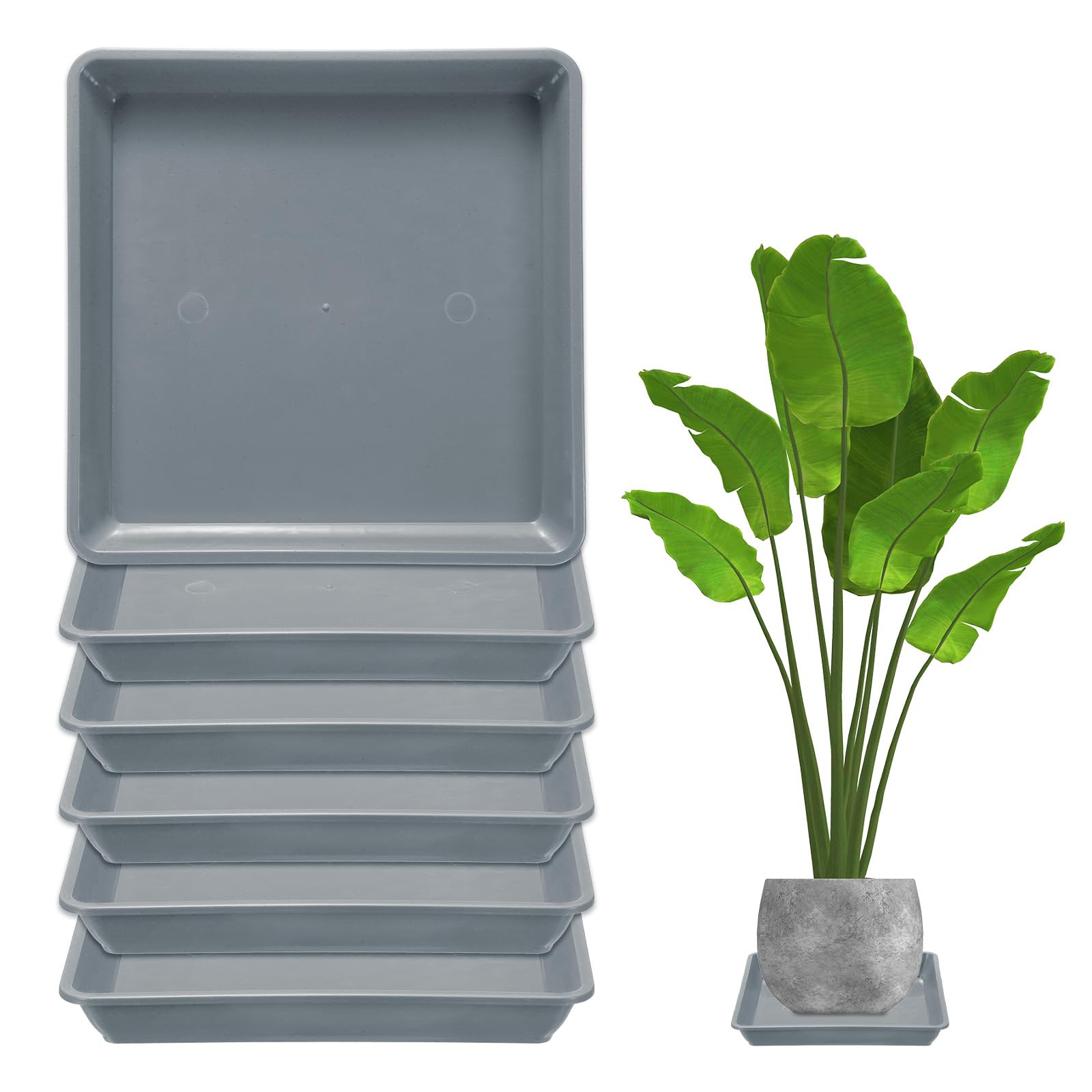 M METERXITY 6-Pack Plant Pot Saucers, 7 Inch 18cm Plastic Square Flower Drip Tray, Pot No Holes Durable Plant Trays for Pots Base Indoors/Outdoors Plants [Cement Gray]