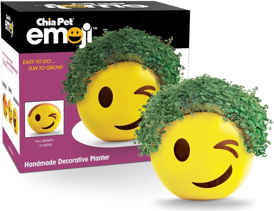 Chia Emoji platillo hecho a mano decorativo maceta: Amazon.es: Jardín