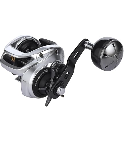 Amazon.com : Daiwa LX-HD500HL-P Lexa 500 Type-Hd Baitcasting Reel