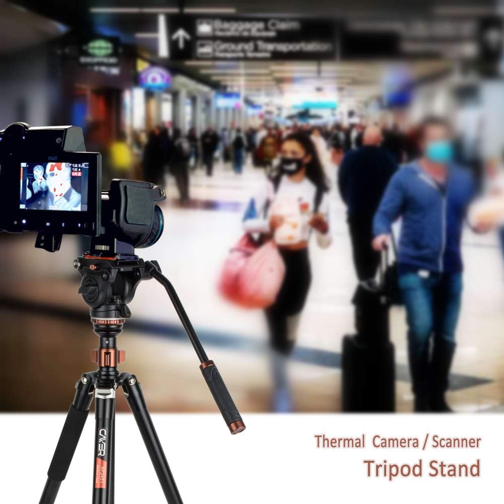 Cayer CF2451 Video Tripod 67 inches Carbon Fiber Tripod Leg with Fluid Drag Head, 4-Section Compact DSLR Tripod Convertible to Monopod for DSLR Camera, Video Camcorder : Camera & Photo