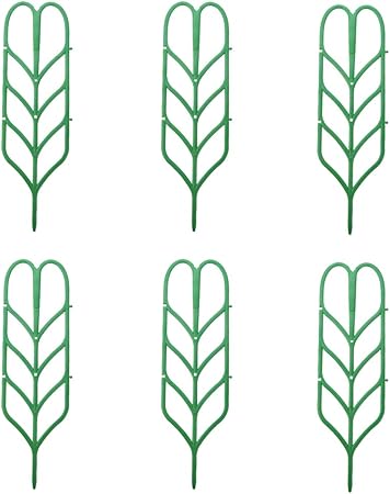 Yardwe 6 enrejados de jardín para Plantas trepadoras, Hiedra y ...