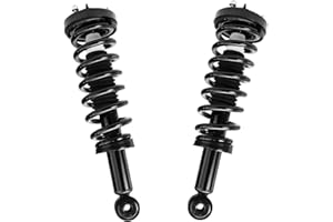 Detroit Axle - 2 Front Struts for 2004-2008 Ford F-150, 06-08 Lincoln Mark LT Complete Struts with Coil Spring 2005 2006 2007 Replacement Quick Install Ready Struts Shocks Assembly
