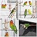 Yaheetech 62.4-inch Roof Top Large Flight Bird Cage for Small Quaker Parrots Cockatiels Sun Parakeets Green Cheek Conures Budgie Finch Lovebird Pet Bird Cage with Detachable Standthumb 3