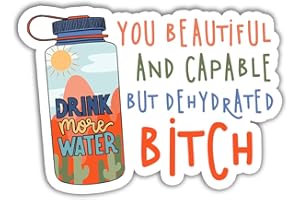 VOTANTA 3 Pcs - Drink Some Water You Beautiful and Capable But Dehydrated Bitch Sticker Drink Some Water Sticker for Waterbottles Laptops Notebooks Cell Phones Bumpers Windows Locker A5