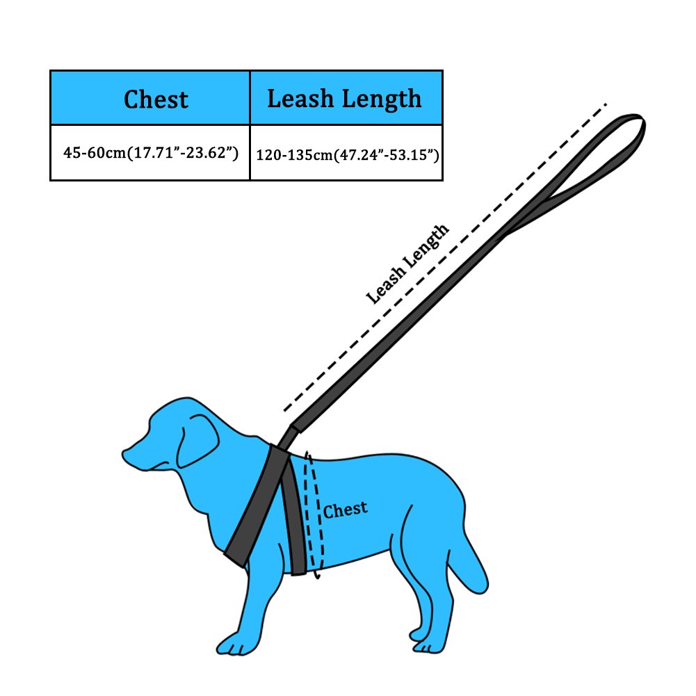 SW Imbracatura Cane Regolabile e Durevole, Step-in-Imbracatura in Nylon per Animali, Imbracatura per Cani Taglia Piccola/Media e Gatti, Adatto per Corsa/Camminata/Allenamento, Rosa