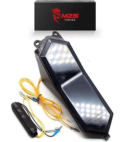 Amazon.com: Custom LED Blaster-X Ultra-Bright Integrated LED Tail
