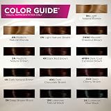John Frieda Precision Foam Colour 6.5PBN Lightest Cool Almond Brown 32ml view 4
