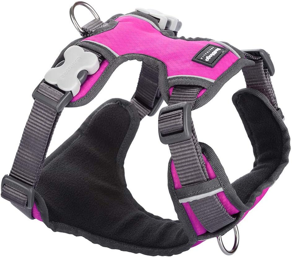 Red Dingo Padded Harness Small, Hot Pink