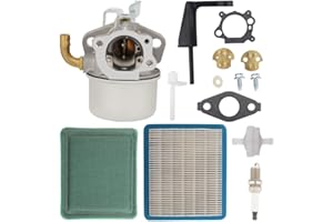 Buckbock 696981 798653 Carburetor Carb for Briggs and Stratton Intek 206 5.5 6.5 HP Engine 900 Series Motor Parts 697354 790290 698860 Carb with Air Filter Tune up Kit