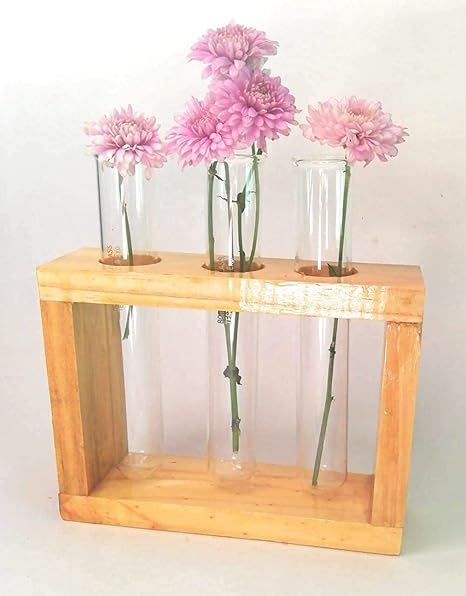Angiras Wall Hanging Planter Test Tube Flower Bud Vase Tabletop Glass Terrarium Wooden Stand | Perfect for Propagating Hydroponic Plants | Home Garden Office Decoration
