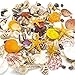 Sea Shells Mixed Beach Seashells, Colorful Natural Seashells Perfect Accents for Candle Making，Home Decorations, Beach Theme Party Wedding Decor, DIY Crafts, Fish Tank and Vase Fillers (80 Seashells)