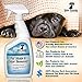 Pet Stain and Odor Remover - Urine Remover - Odor Eliminator - Enzyme Cleaner for Dog and Cat Urine - Spot Carpet Cleaner - Urine Destroyer - Pet Odor Removal - Professional Strength 32 oz.