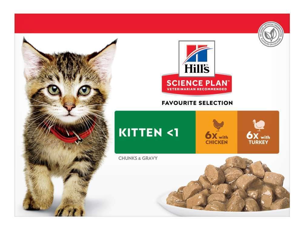 Hill's Cat Food Hills Feline Kitten Mpk Cig Poultry (12Pk) 85g