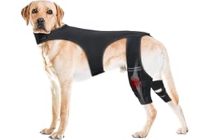 Dog Hip Brace | Adjustable Joint Sleeve - with 4 Metal Stabilizers Hip Support - for Walking Exercise Outdoor Activities Park