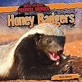 Honey Badgers