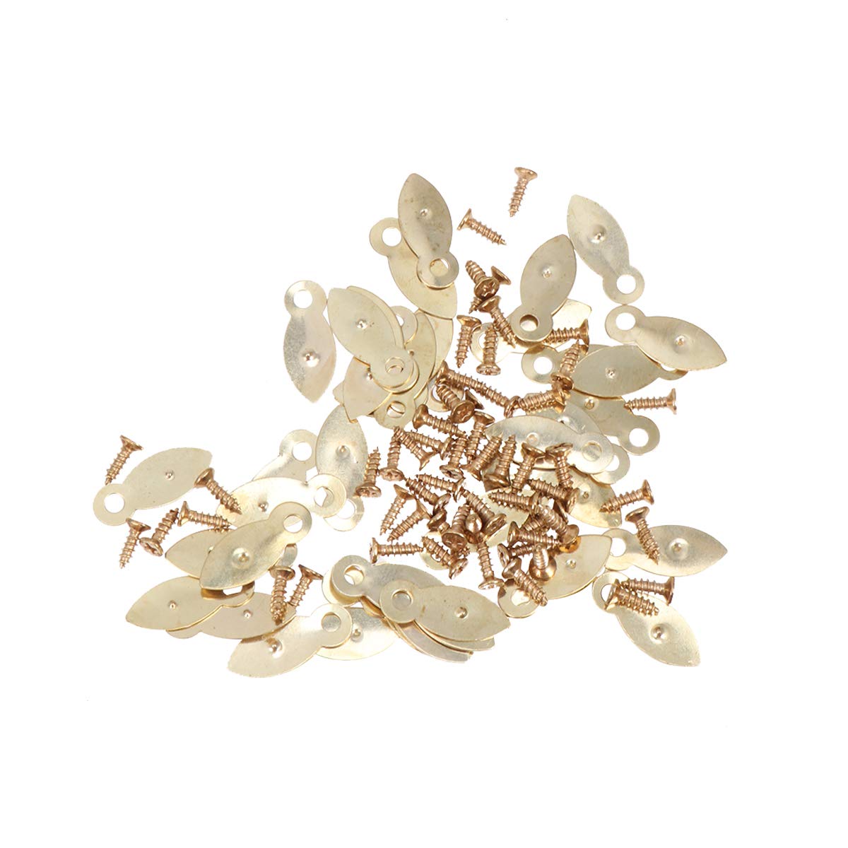 DOITOOL Photo Frame Accessories Golden Leaf Tablets with Melon Slice Back Plates and Screws 0.83X0.31In DIY Picture Frame Locks for Home Decoration and Scrapbooking
