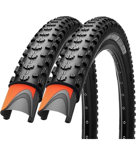 Amazon.com : Schwalbe, Marathon Winter Plus, Tire, 26''x1.75