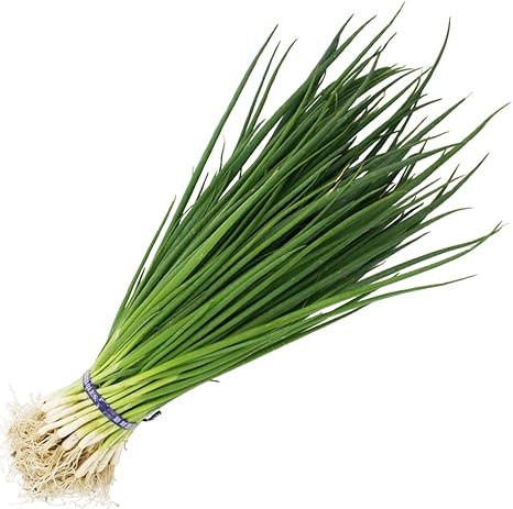 Amazon ねぎ苗 九条ネギ 浅黄系九条 細ねぎ 100本 抜き苗 岡山県産 野菜