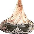 Newdeve Champagne 3M 1T Bridal Veils Lace Edge with Free Comb
