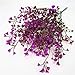 CATTREE Artificial Shrubs Bushes, Plastic Fake Plants Wedding Indoor Outdoor Home Garden Verandah Kitchen Office Table Centerpieces Arrangements Christmas Decoration Fuchsia 8 pcs