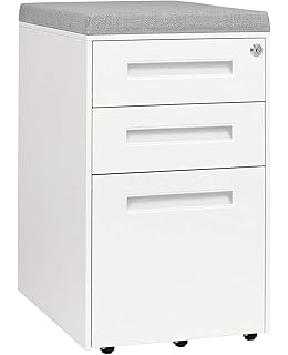 Amazon Com Rolling Mobile Pedestal Storage Cabinet With Lock And Cushion Steel 2 Drawer For Home Or Office By Casl Brands Red Office Products